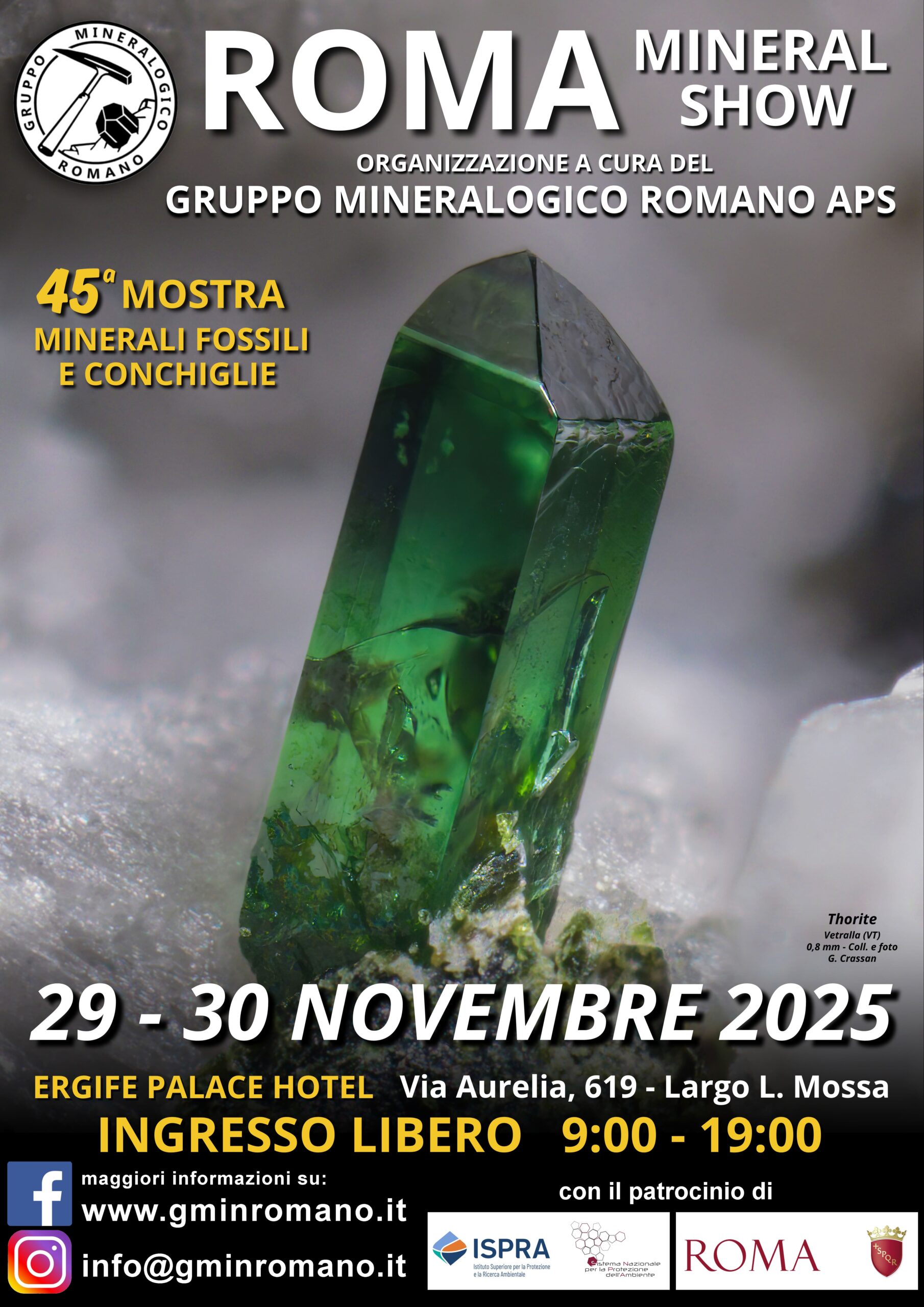 MANIFESTO 45a Mostra di Minerali, Fossili e Conchiglie di Roma 2025